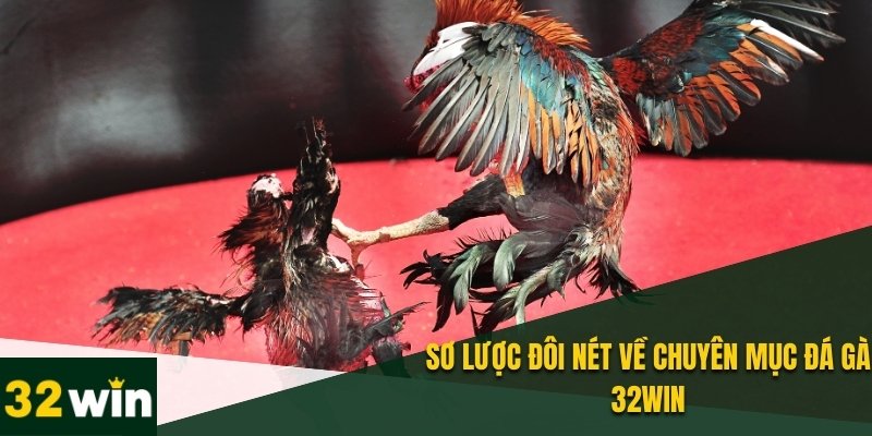 Đá Gà 32WIN - Đấu Trường Trực Tuyến Hot Nhất Năm 2025 1 Giới thiệu chung về chuyên mục đá gà 32WIN