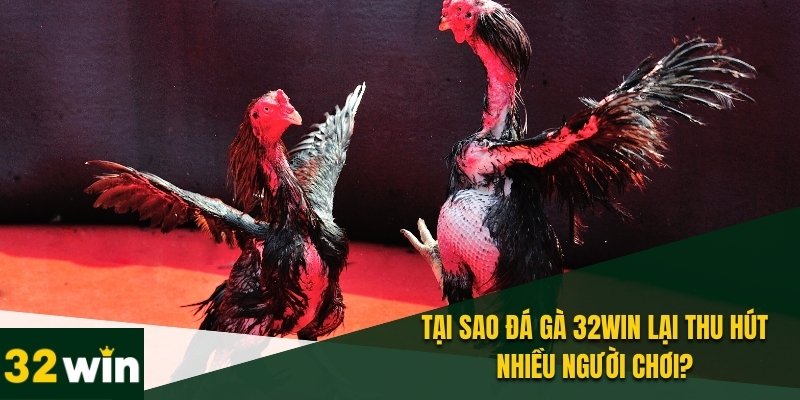 Đá Gà 32WIN - Đấu Trường Trực Tuyến Hot Nhất Năm 2025 2 Lợi thế tuyệt vời chỉ có tại chuyên mục đá gà 32WIN