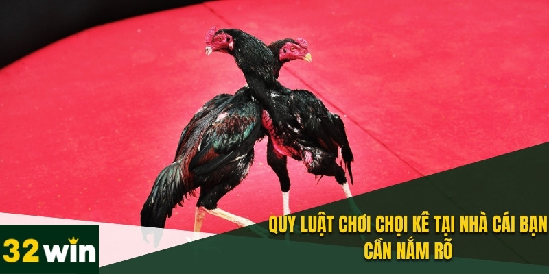 Đá Gà 32WIN - Đấu Trường Trực Tuyến Hot Nhất Năm 2025 4 Tìm hiểu luật vận hành trò chơi cho tay mới