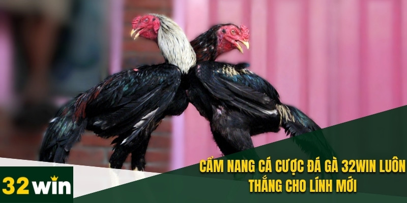 Đá Gà 32WIN - Đấu Trường Trực Tuyến Hot Nhất Năm 2025 5 Cẩm nang bí quyết chơi đá gà 32WIN hiệu quả nhất